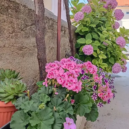 Gallery Freya * Zadar