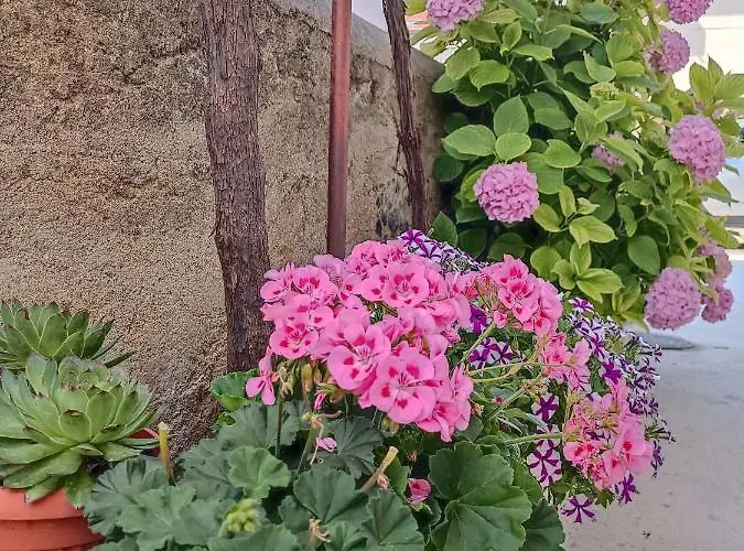 Gallery Freya * Zadar