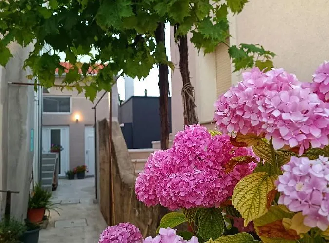 Gallery Freya * Zadar